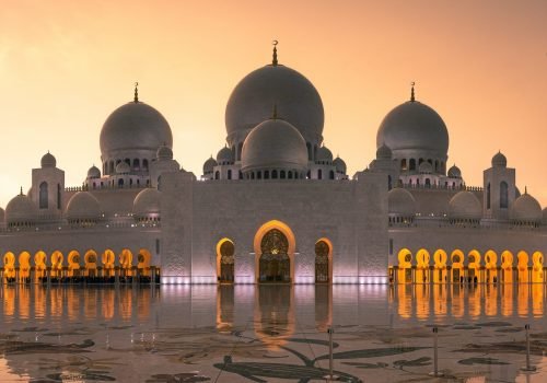 daniel-olah-2lMK4dgqwFM-unsplash